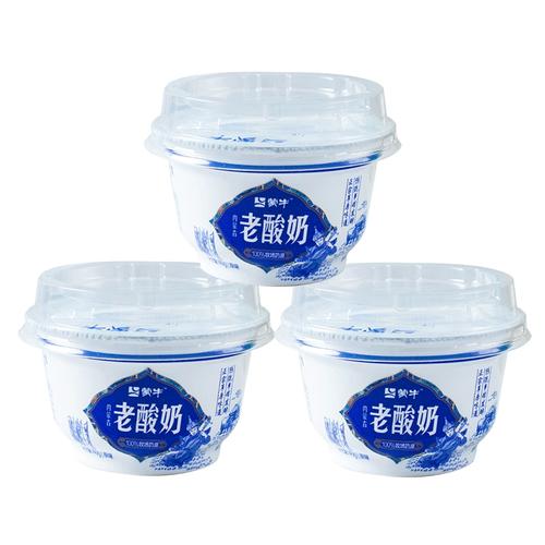 蒙牛老酸奶140g杯装酸奶新鲜低温奶酸牛奶营养健康早餐奶