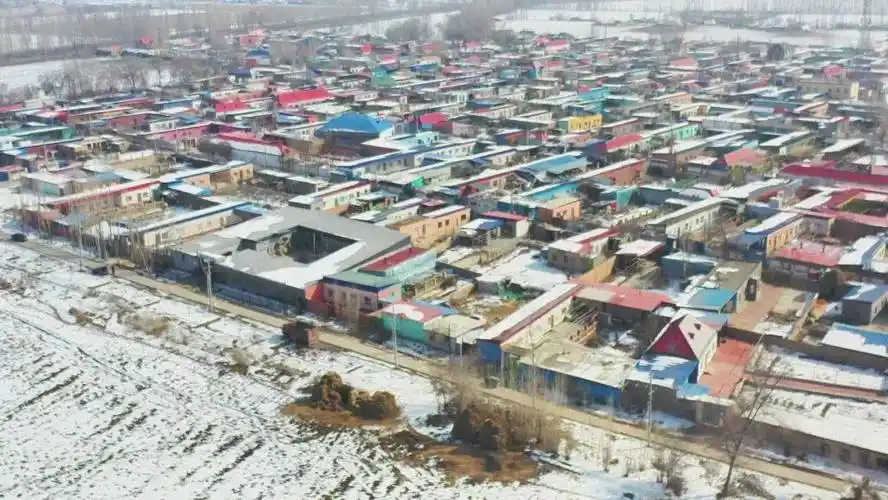 酸奶_奶制品_博乐