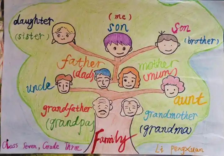 思维导图-3 family