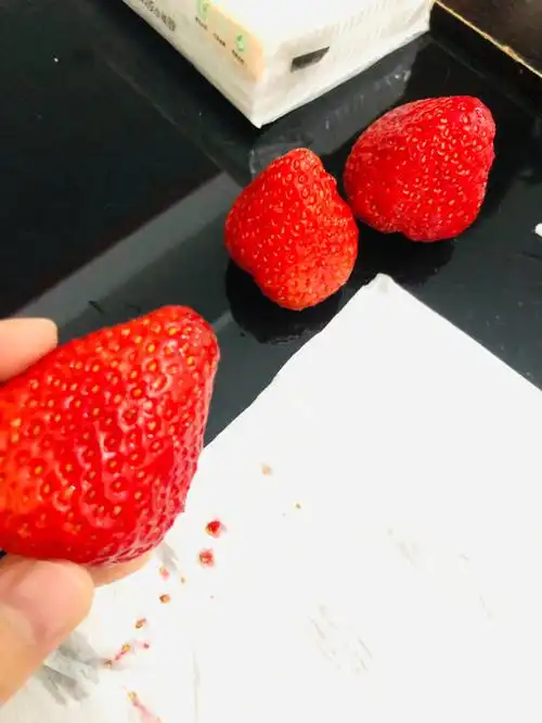 草莓尖尖的籽格外的淑吧,尽量挑有点黑的,发不发芽得等几天在看啦
