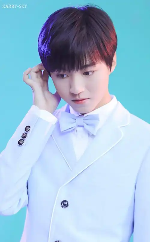 王俊凯 自然堂 cr.logo