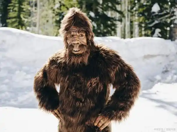 雪山大脚怪,是否存在,神秘的喜马拉雅山又隐藏着什么?