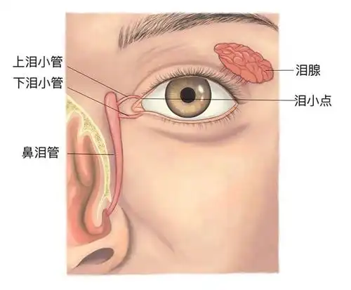 【泪器病】"光打雷不下雨"宝宝是在秀演技?