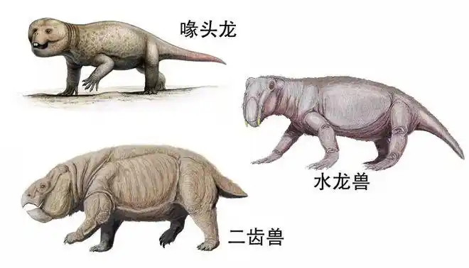 那时期陆地上主流动物有水龙兽,二齿兽,喙头龙等都是趴在地上啃食草本