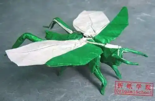 折纸蚂蚱的步骤图解