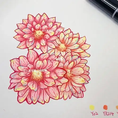 画画的日常  #笔记灵感掌握好马克笔技法可举一反三暖色调洋甘菊可