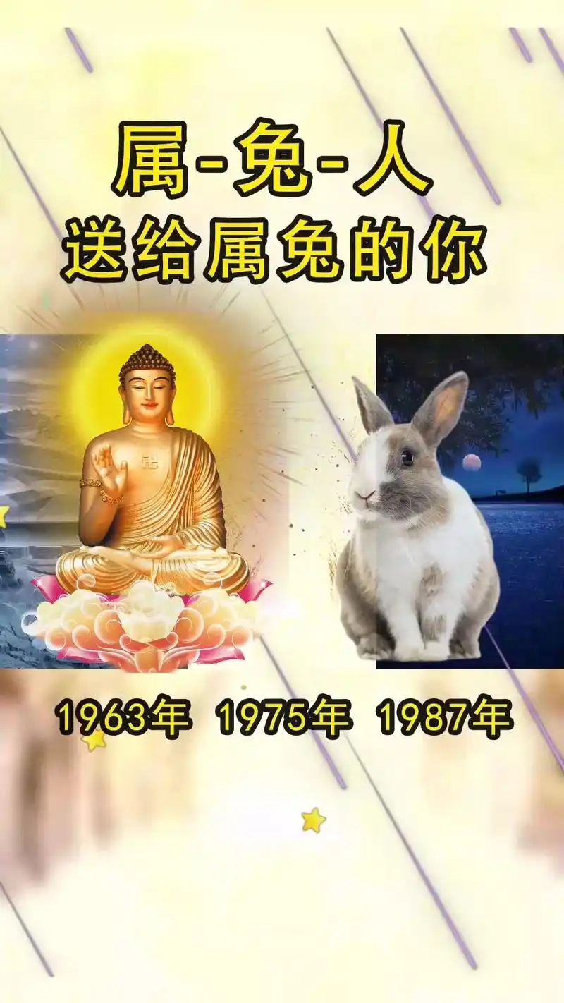 1963年1975年1987年 属-兔-人 送给属兔的你 送 - 抖音