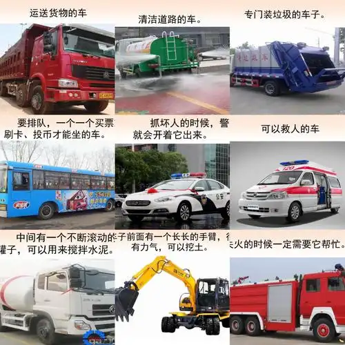 幼儿社会领域——不同的车