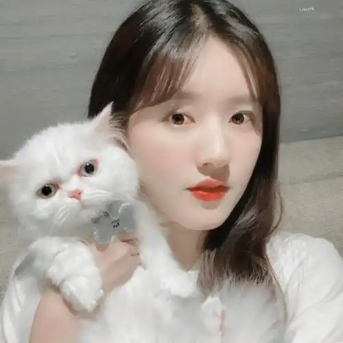 赵露思头像 /有水印