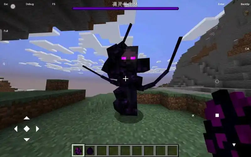 看一看1.19的凋零风暴