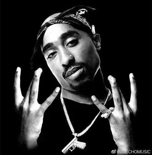 西海岸是什么意思,最基本的hiphop手势,你能看懂几个