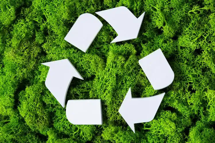 ministry matters64 | greening the bread of life