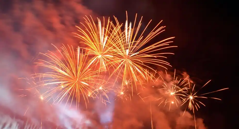 2月4日,上海市公安局和应急管理局联合发布了2021年烟花爆竹安全管理