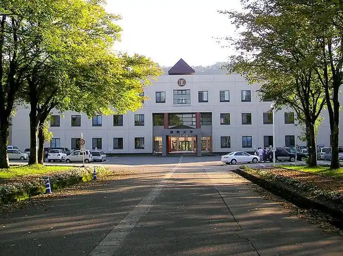 国际大学(日本)