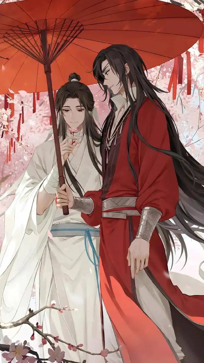天官赐福 动画#花城 #谢怜 #遇见即是上上签  - 抖音