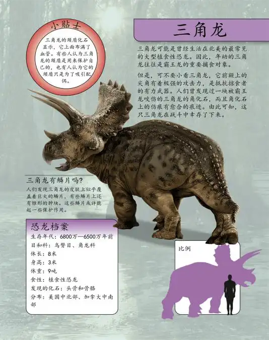 成长秘密之"阅读经典"——《沼泽里的跟踪者》_三角_恐龙_白垩纪
