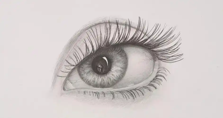 素描眼睛怎么画超详细的临摹素材参考