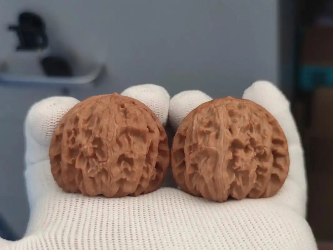 5尺 文玩核桃狮子头白狮子三角白54号 边肚同尺 尖边有修 特价处理