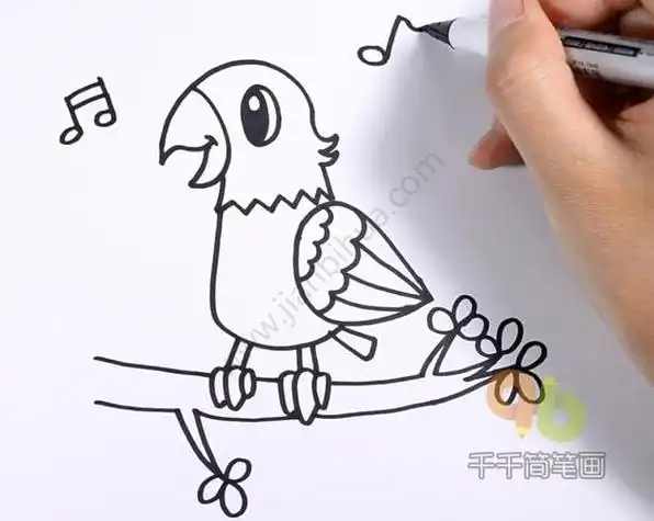 可爱虎皮鹦鹉简笔画