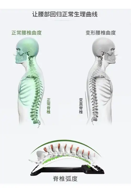 新间盘牵引器腰椎生理曲度变直器脊柱脊椎舒缓架腰部背部黑色4档普通