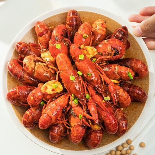 好人家油焖小龙虾调料220g油焖大虾香辣蟹炒田螺花甲调料2-3人份 小