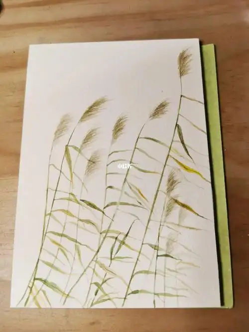 水彩芦苇自由的力量