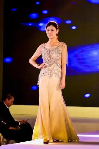 2018华裔小姐选美大赛晚装秀