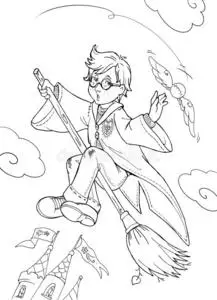 男孩男巫飞行的快的向指已提到的人扫帚采用指已提到的人天照片