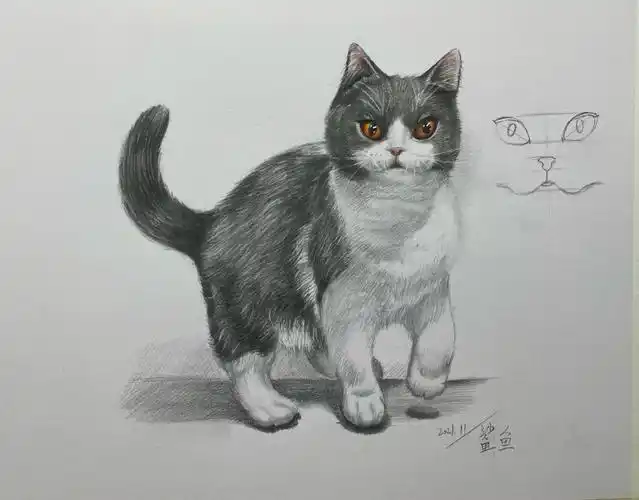 素描猫咪