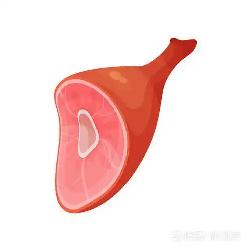 烟腿火腿肉产品卡通矢量插画