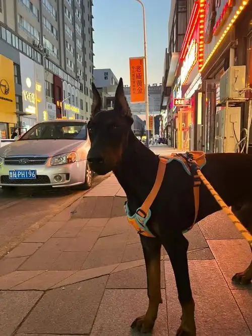 为什么手握寒冰 因为幸福如履薄冰 勇敢的心 - 抖音