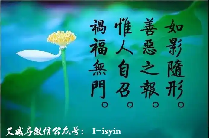 一家杀生感召灾祸重重惨到堪比剧本发生在家人身上的真实果报