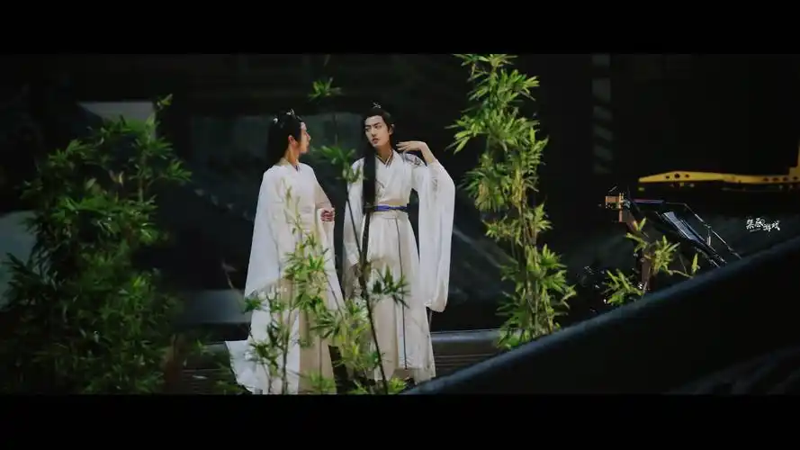 陈情令 忘羡 魏无羡 蓝忘机 蓝湛 魏婴 含光君 肖战 王一博 博君一肖