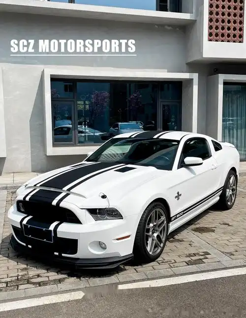 谢尔比 gt500 哑光白