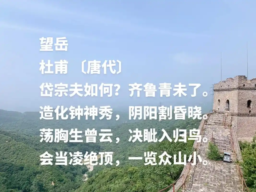 这首诗是杜甫青年时代的作品,充满了诗人青年时代的浪漫与激情, - 抖