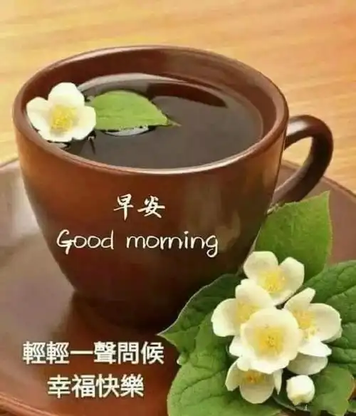 不管千里万里你永远在我的祝福里朋友早安