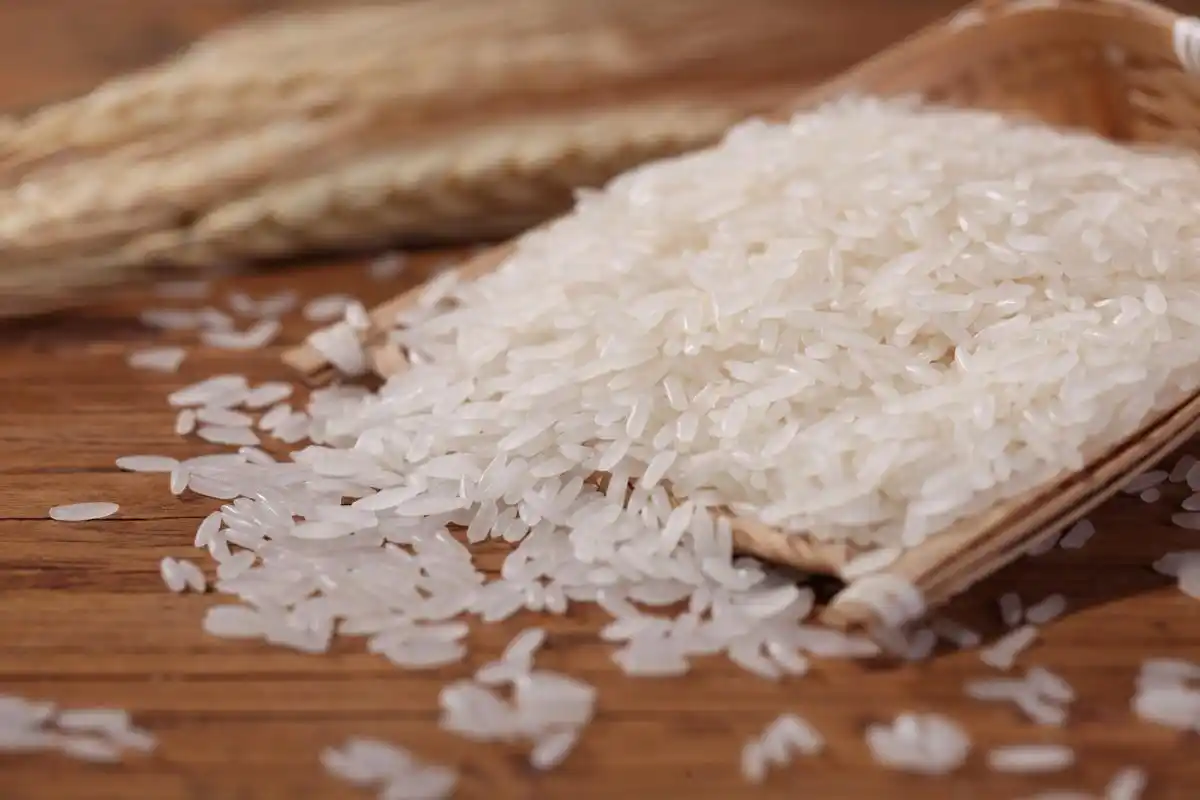 江西长粒籼型大米高清细节分享