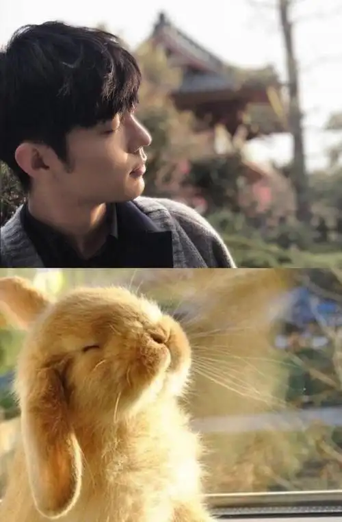 看完这组图,我才明白肖战的爱称为什么是"肖兔兔",因为太萌了