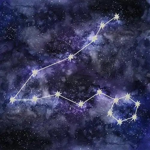 让我们一同穿越星空,深入双鱼座的九月感情世界,揭示他们的桃花运势与