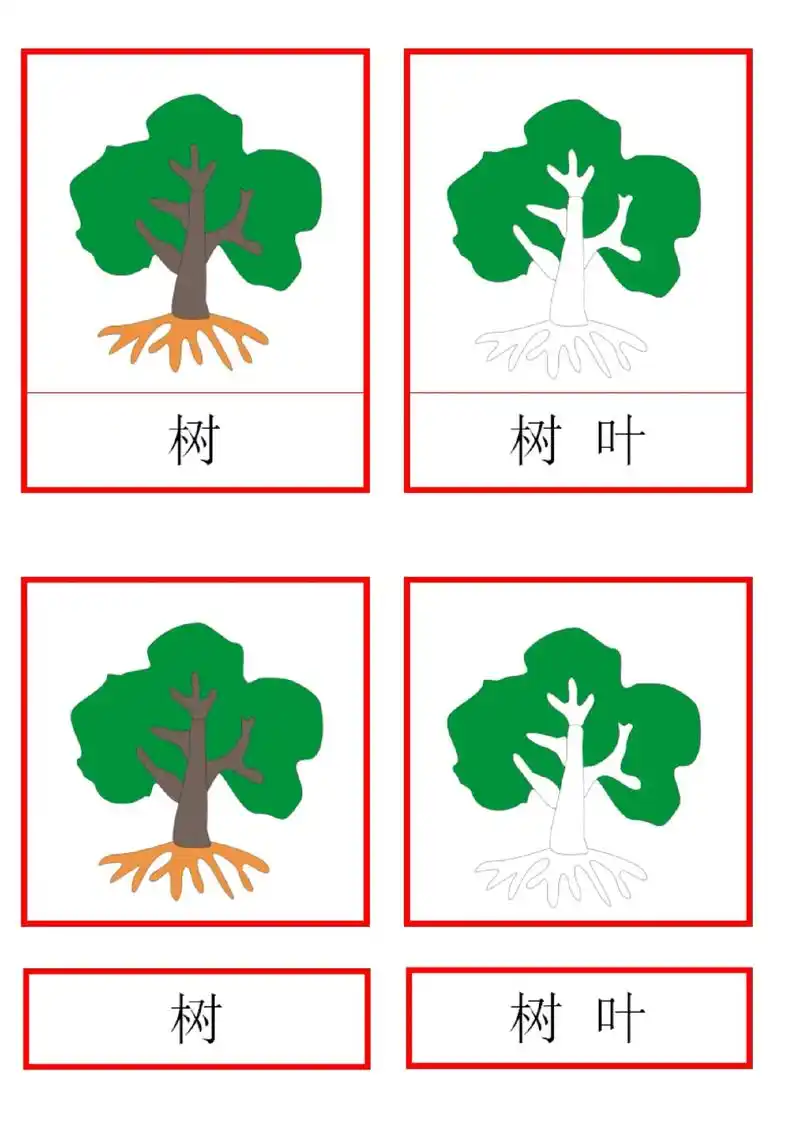 蒙特梭利 #三段卡 #树的组成部分  - 抖音