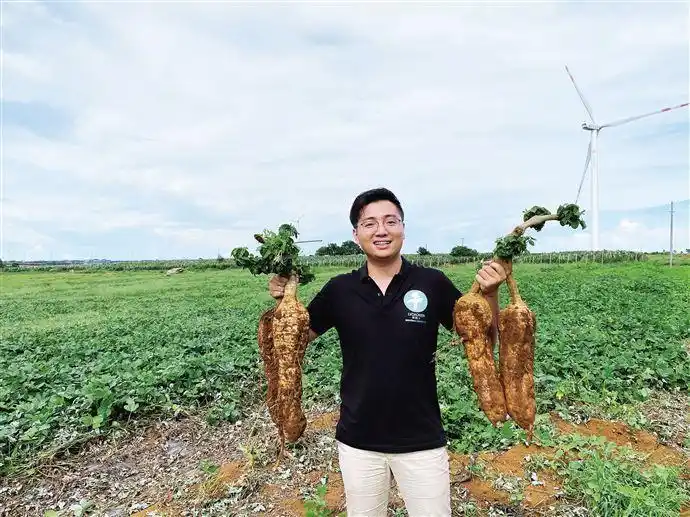 90后青年下乡种葛根 科创模式带动农户脱贫增收