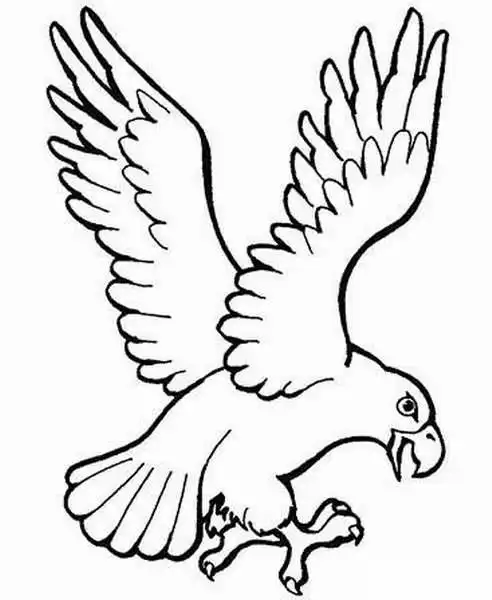展翅简笔画刻在水杯上用的要大气点的如果好展翅飞翔的鹰简笔画老鹰
