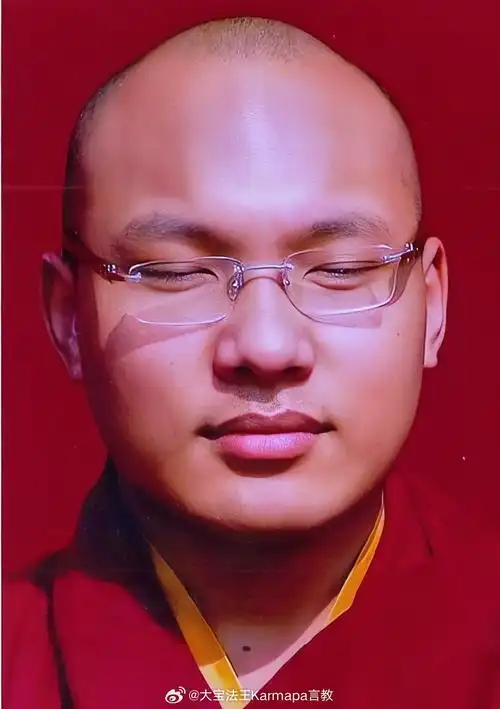 让我们用爱和慈悲回应逆境.～大宝法王#噶玛巴#邬金钦列多杰05