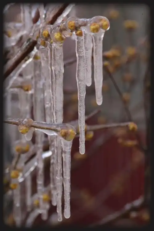 李瑞诚摄影.编辑.撰词