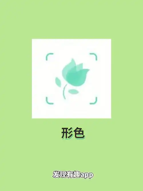拍照识花app一秒钟就可以识别出来