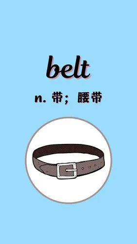 入门必背英语单词888:belt🤍
