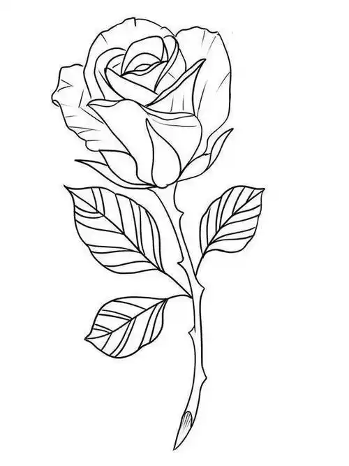 35张花卉线稿资料收藏备用