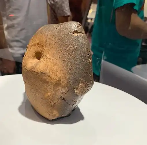 定向月球陨石特征_藏家_品种_部分