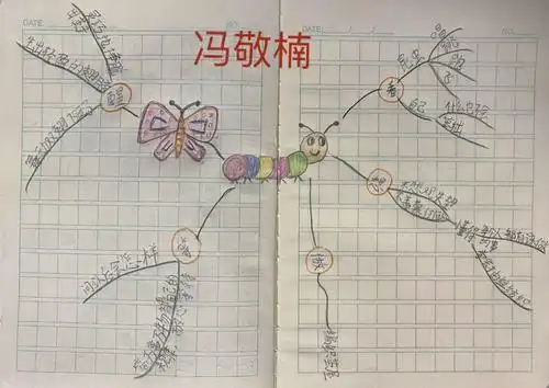 《小毛虫》思维导图