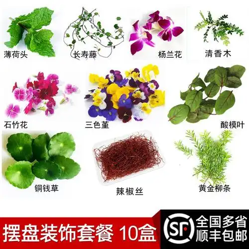 酒店摆盘装饰花草点缀创意盘饰餐饮菜品冷菜冷盘寿司刺身装饰品